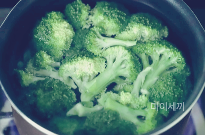 보관방법 브로콜리