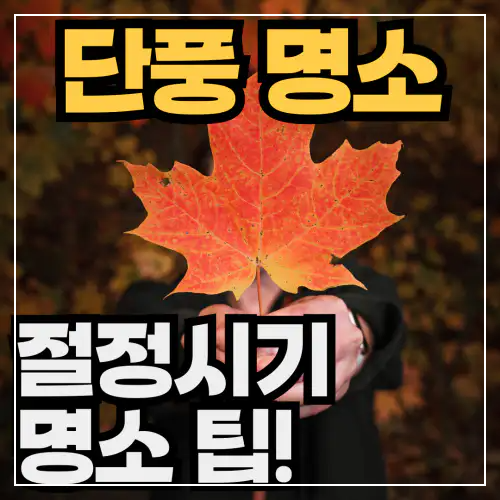 단풍