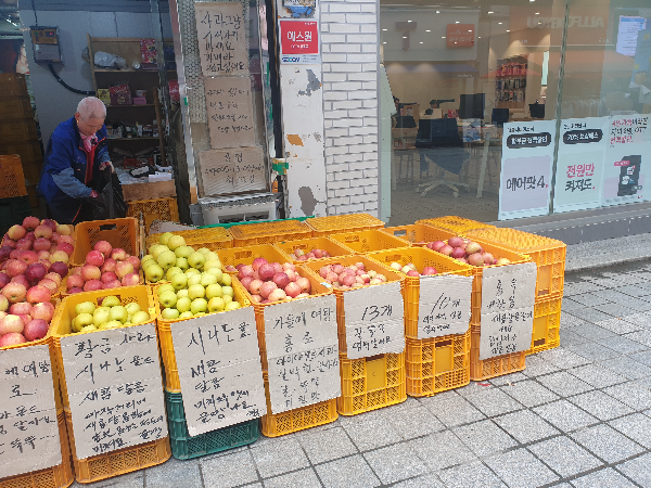 종이 및 플라스틱 박스에 노지 사과들이 놓여 있다.