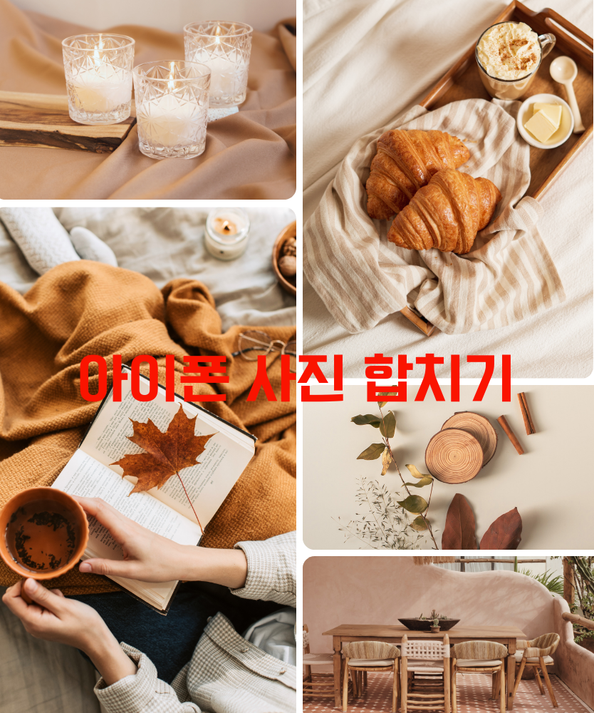 다양한 활용 방법2