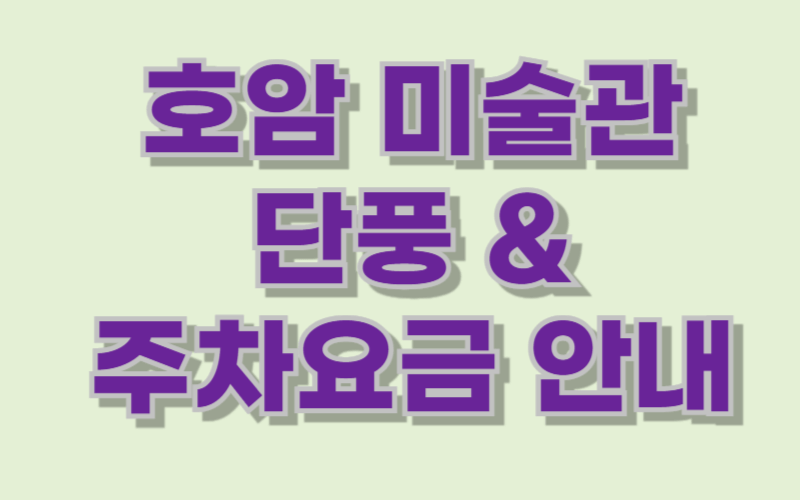 호암미술관 단풍