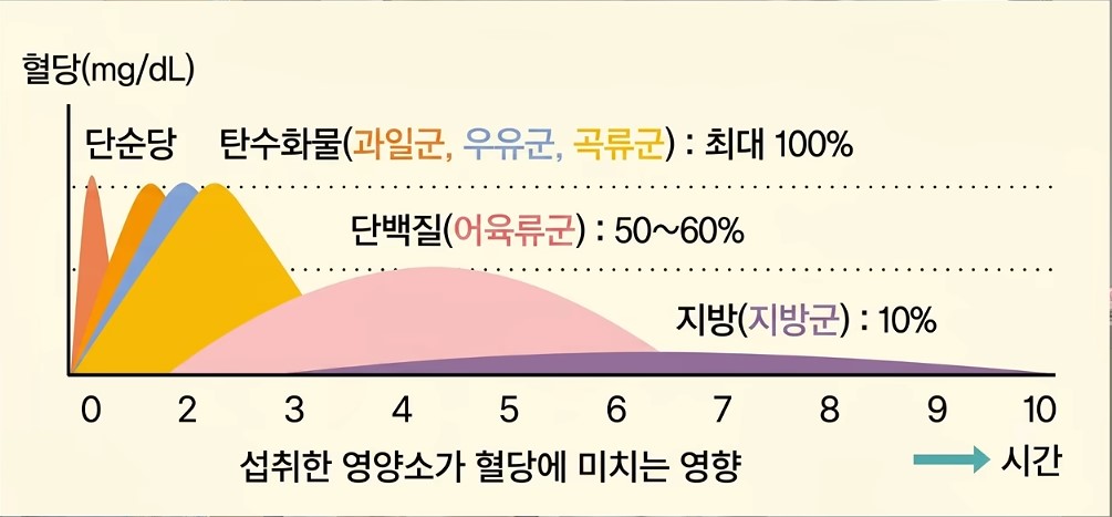 섭취한 영향소가 혈당에 미치는 영향 그래프