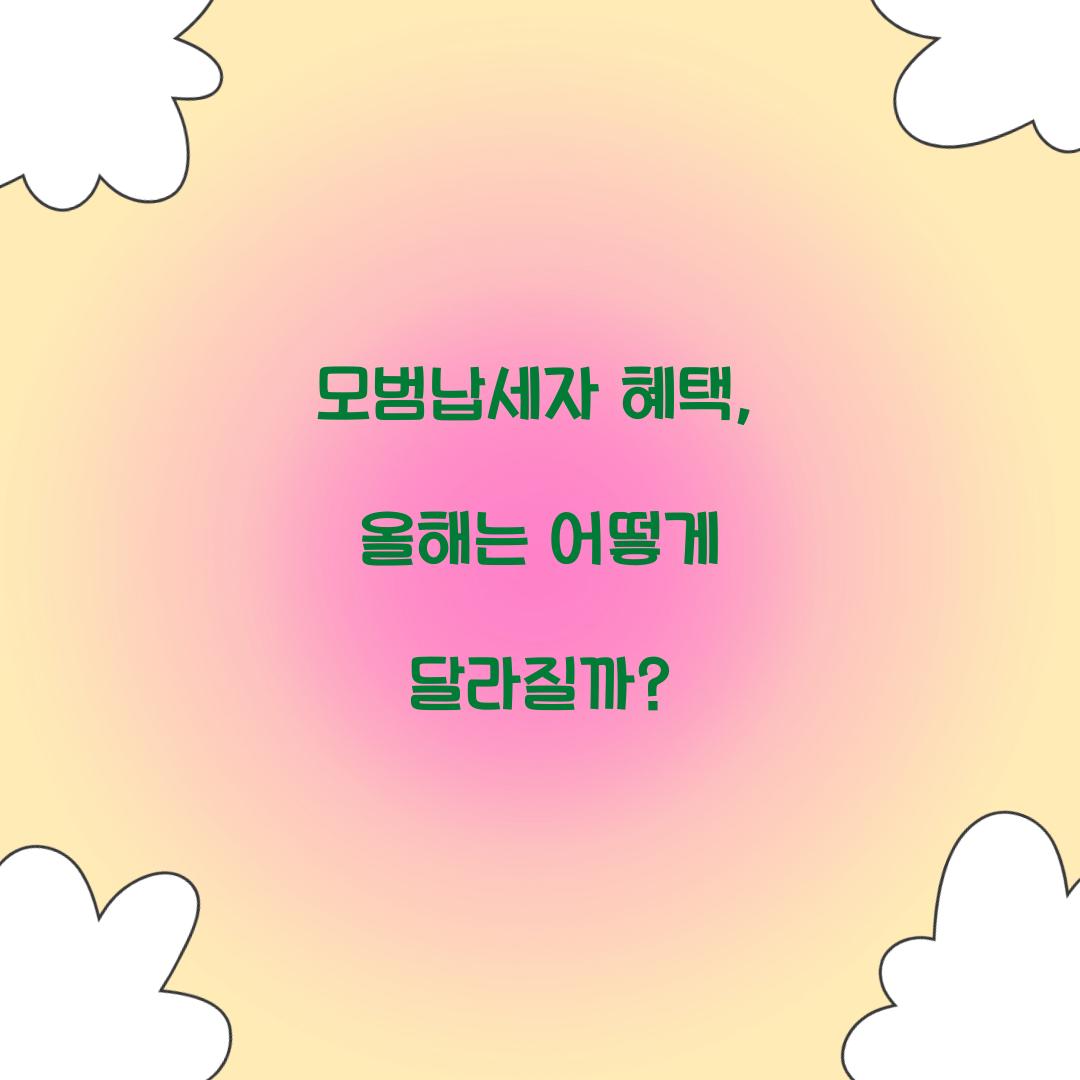 모범납세자 혜택
