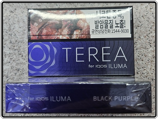 테리아 스틱 베스트셀러: 블랙 퍼플(Black Purple)의 특징 및 인기 비결
