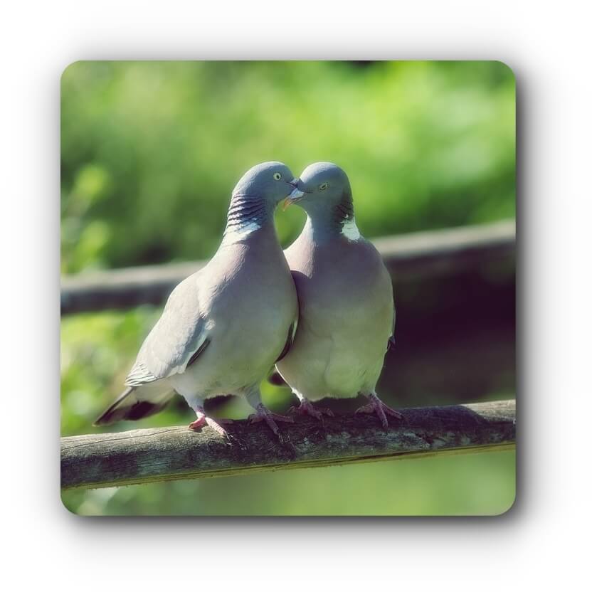 affair-image
