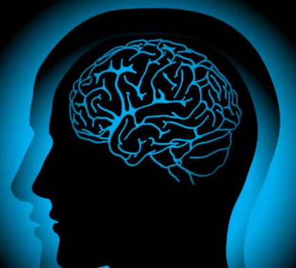 공진단-효능-먹는법-건강