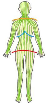 왼쪽 갈비뼈 아래 통증