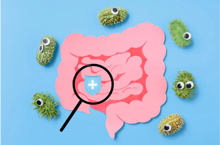 장건강이 뇌를 지킨다