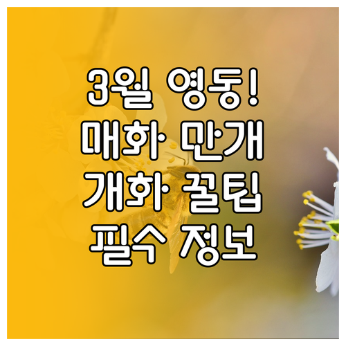 3월 영동 여행지 추천 매화마을 개화..