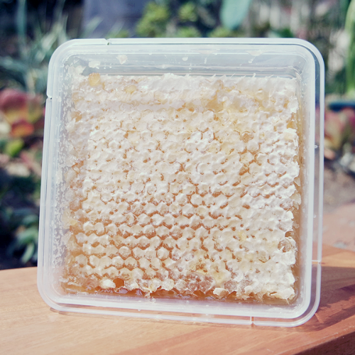 프로폴리스 효능