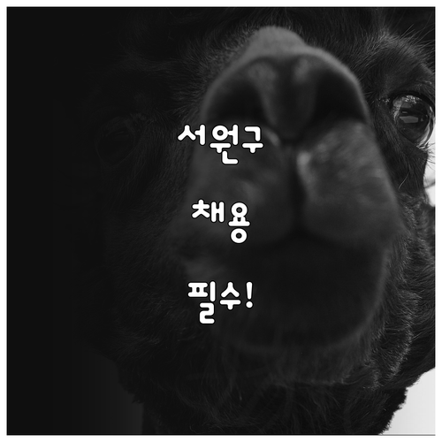 청주 서원구 노인 일자리 전담인력 채..