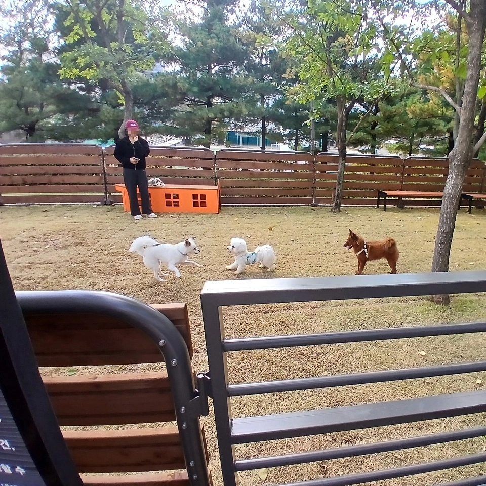 염창동 황금내 화곡동 봉제산 근린공원 강서구 반려견 쉼터 소개 놀이터 위치 운영 시간 이용료 강아지