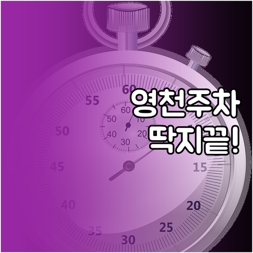 영천 주차 단속 알림 서비스 가입 방..
