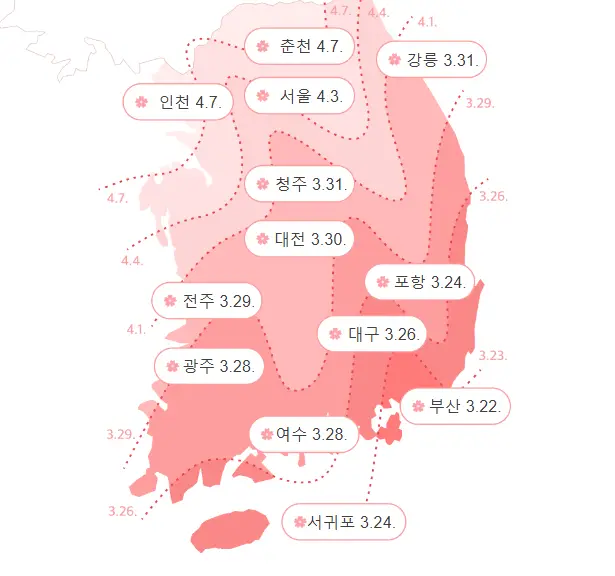 2025년 벚꽃 개화 시기