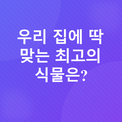 실내 공기 정화 식물_2