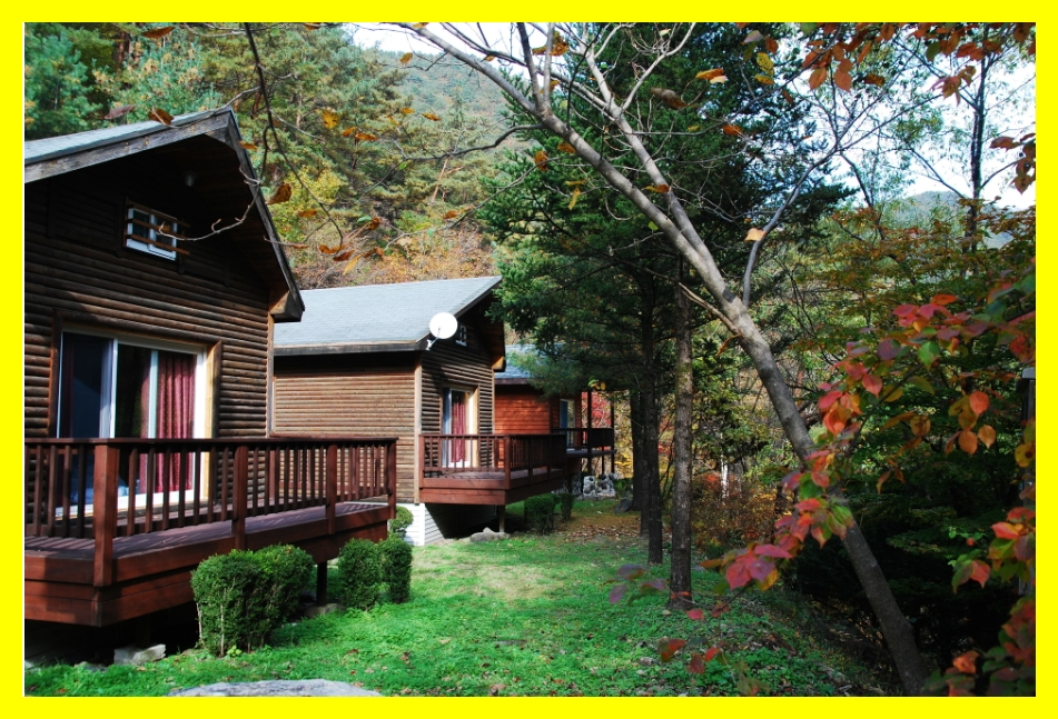 국립자연휴양림 예약&amp;#44; 국립자연휴양림 예약 성수기 추첨