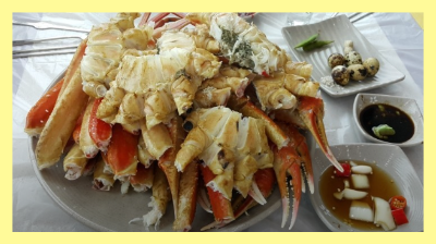 영덕 맛집 베스트10