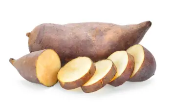 야콘 효능 및 영양성분&amp;#44; 먹는 방법