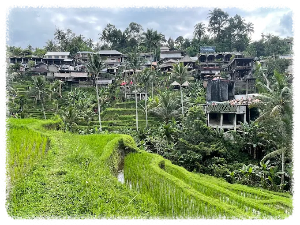 뜨갈라랑 라이스 테라스