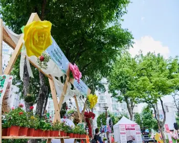 중랑 서울 장미축제_7