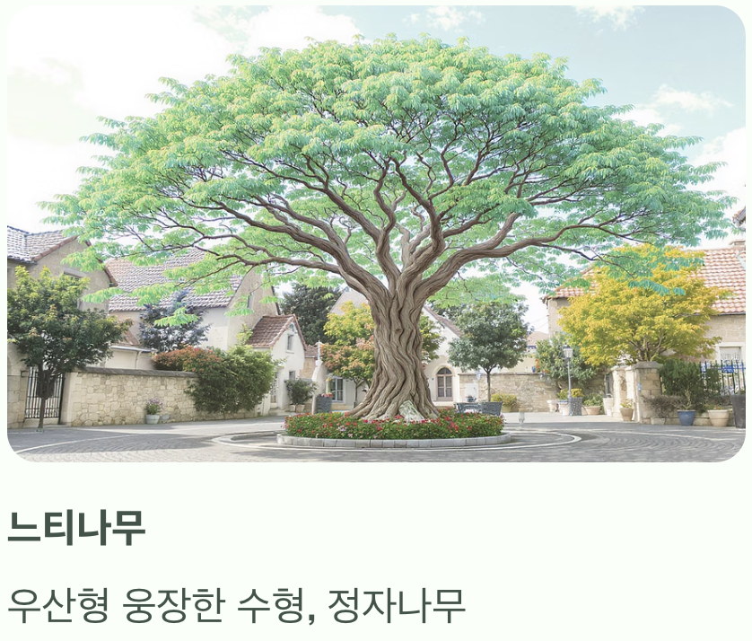 네 번째, 전체적인 실루엣과 자생지