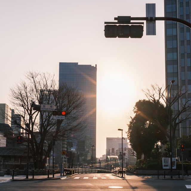 정동진 밤기차 패키지 여행 가격 총정리