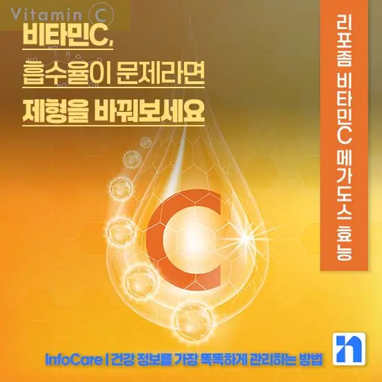 리포좀 비타민C 메가도스 효능