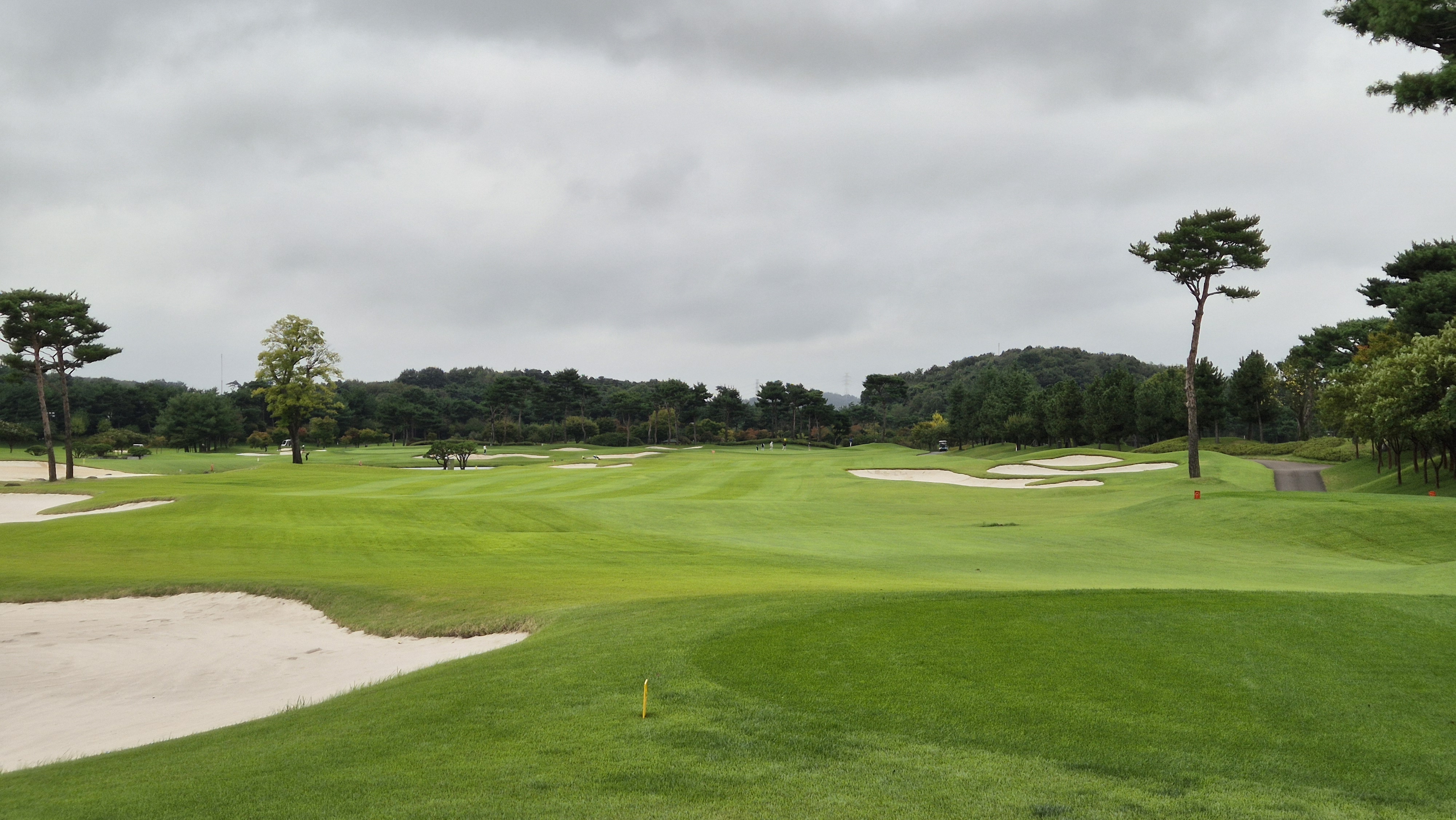 파인스톤cc 파인 코스