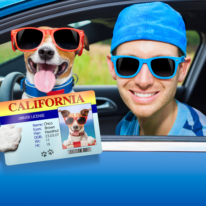 운전면허 적성검사_3