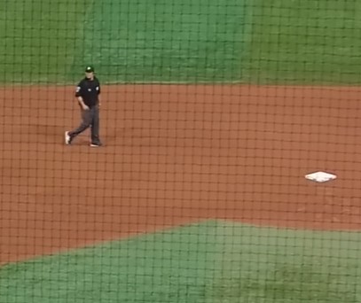 baseball-goldenglove