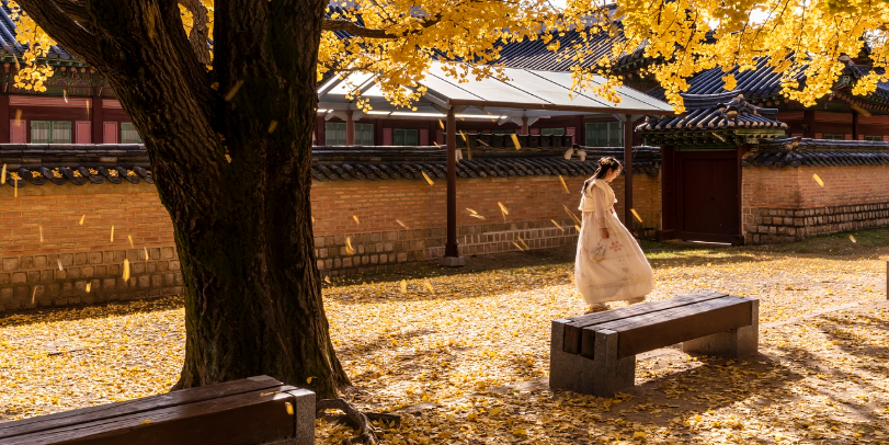 대전 여행 정보