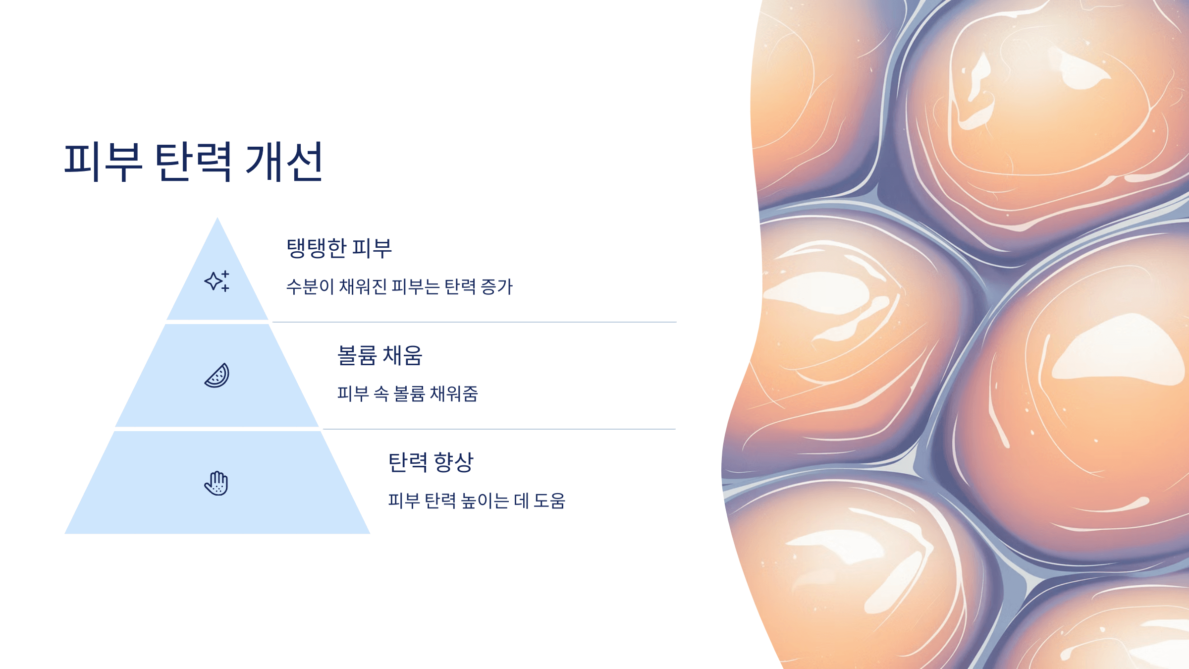 히알루론산과 관련된 사진입니다.