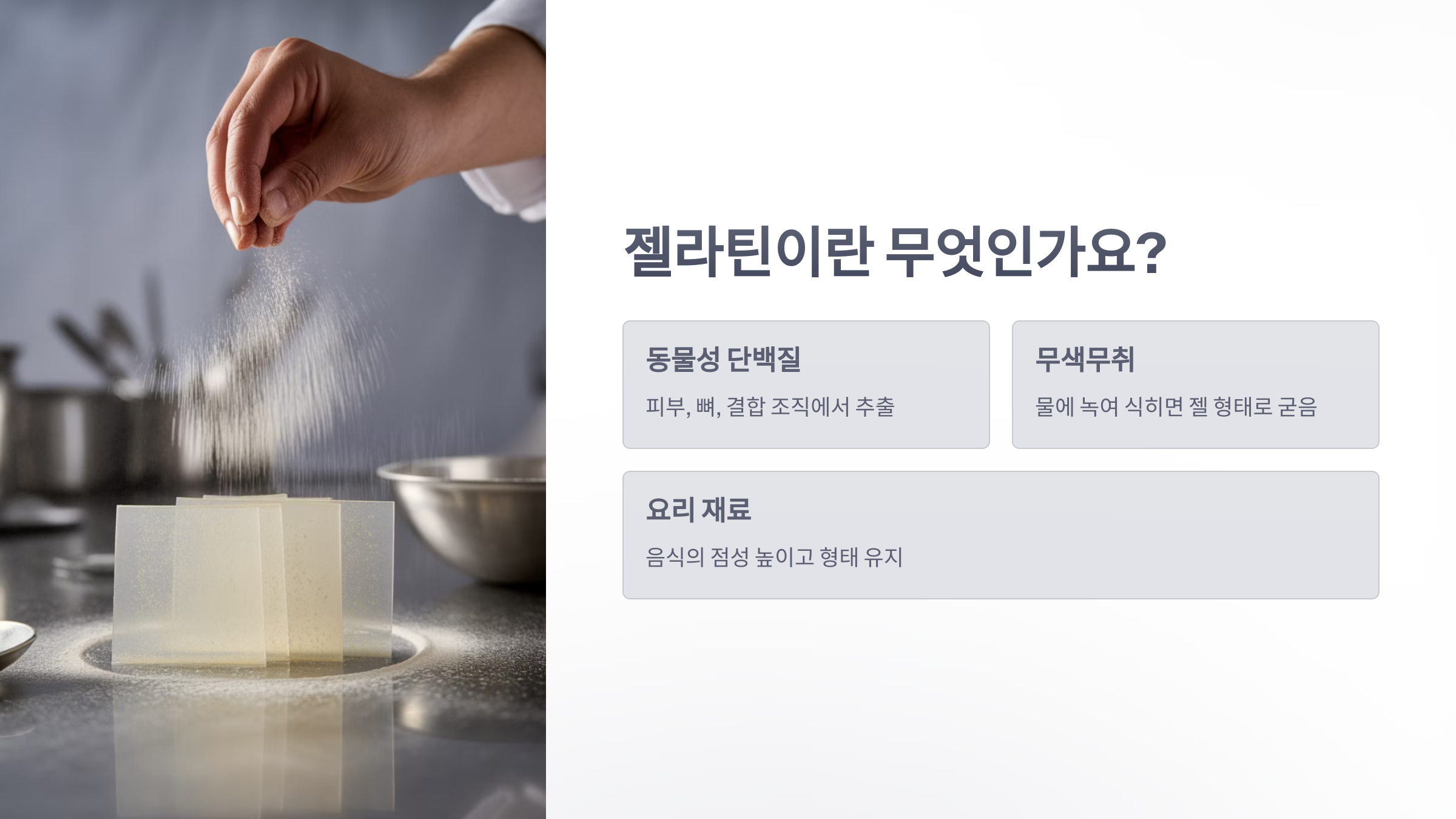 참조-젤리와-젤라틴-3