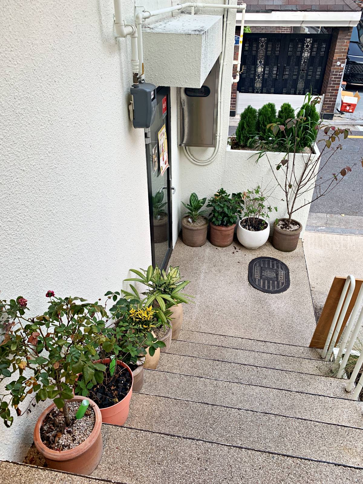 베이글맛집-이수역카페-이수역조용한카페-이수역빵집-베이글