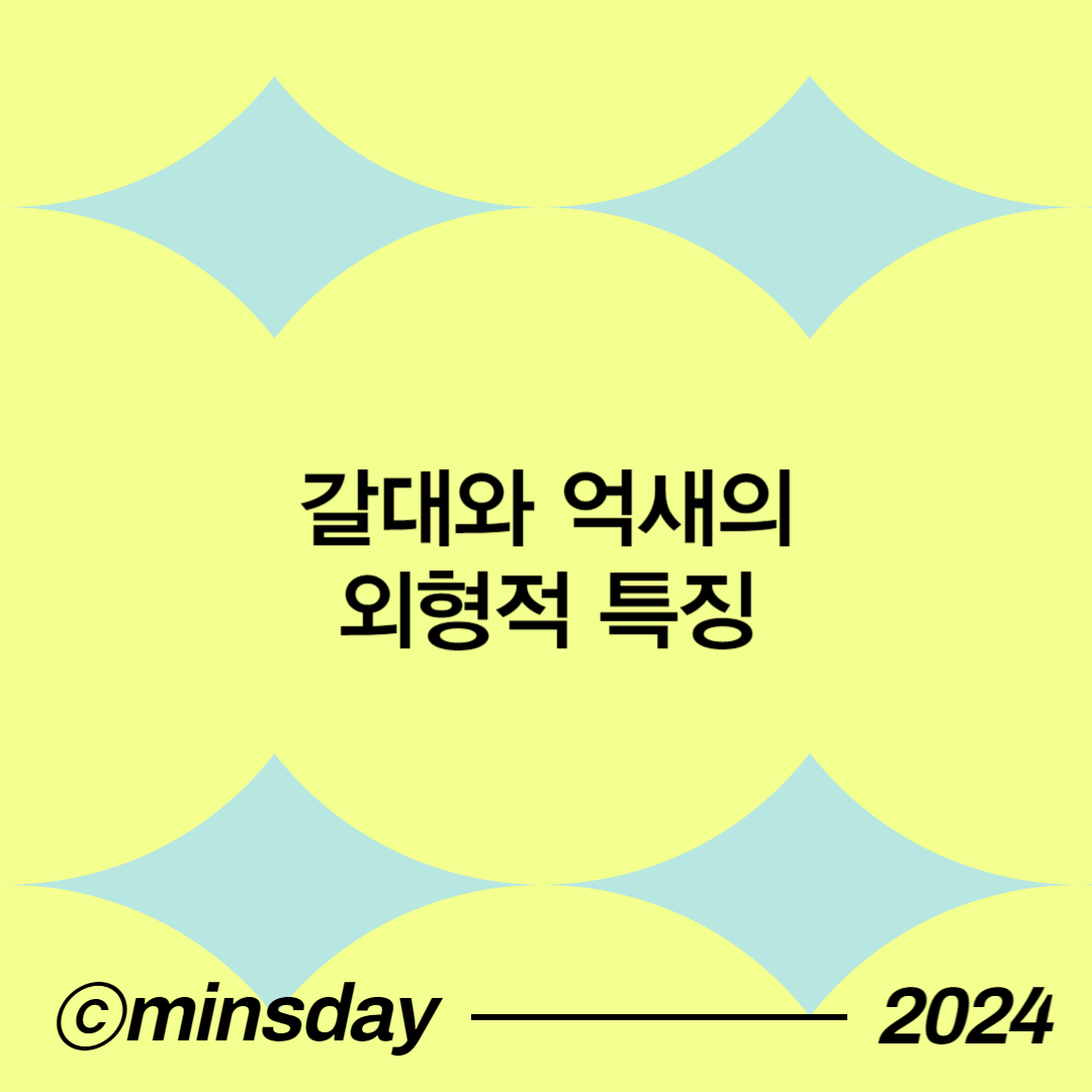 갈대 억새 차이