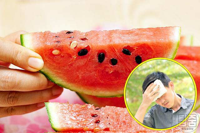 더위 먹었을때 좋은 음식 수박 더위먹은증상