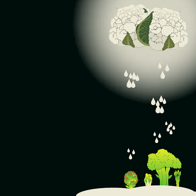 프로바이오틱스