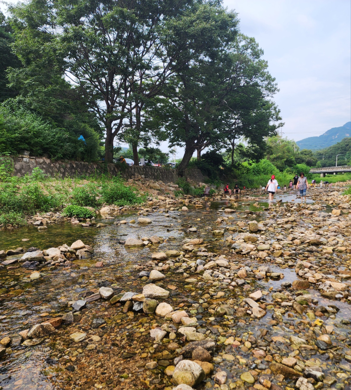 계곡풍경