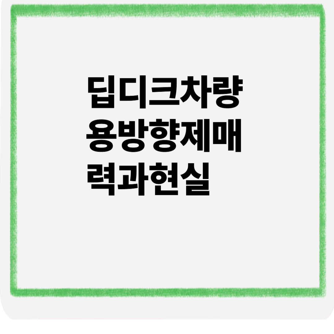 딥디크 차량용 방향제 매력과현실