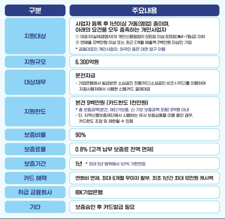 소상공인 비즈플러스카드