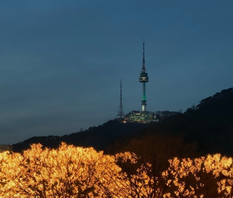 1월 서울 가볼만한곳 ❘ 국내 겨울 여행지 추천 ❘ 데이트 ❘ 가족 ❘ 실내 ❘ 당일치기 ❘ 무료 볼거리