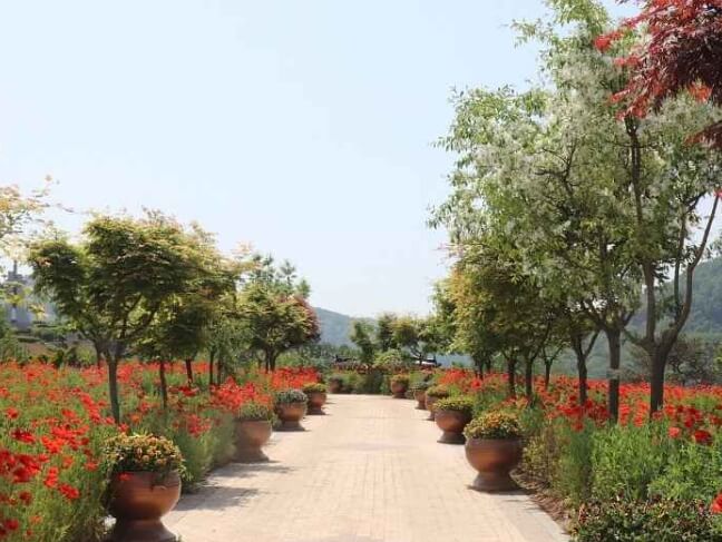 임실 가볼만한곳 베스트 10