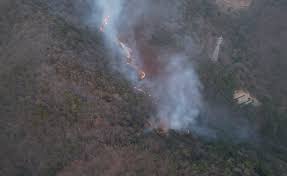 자연재해 재난 지원금 신청방법