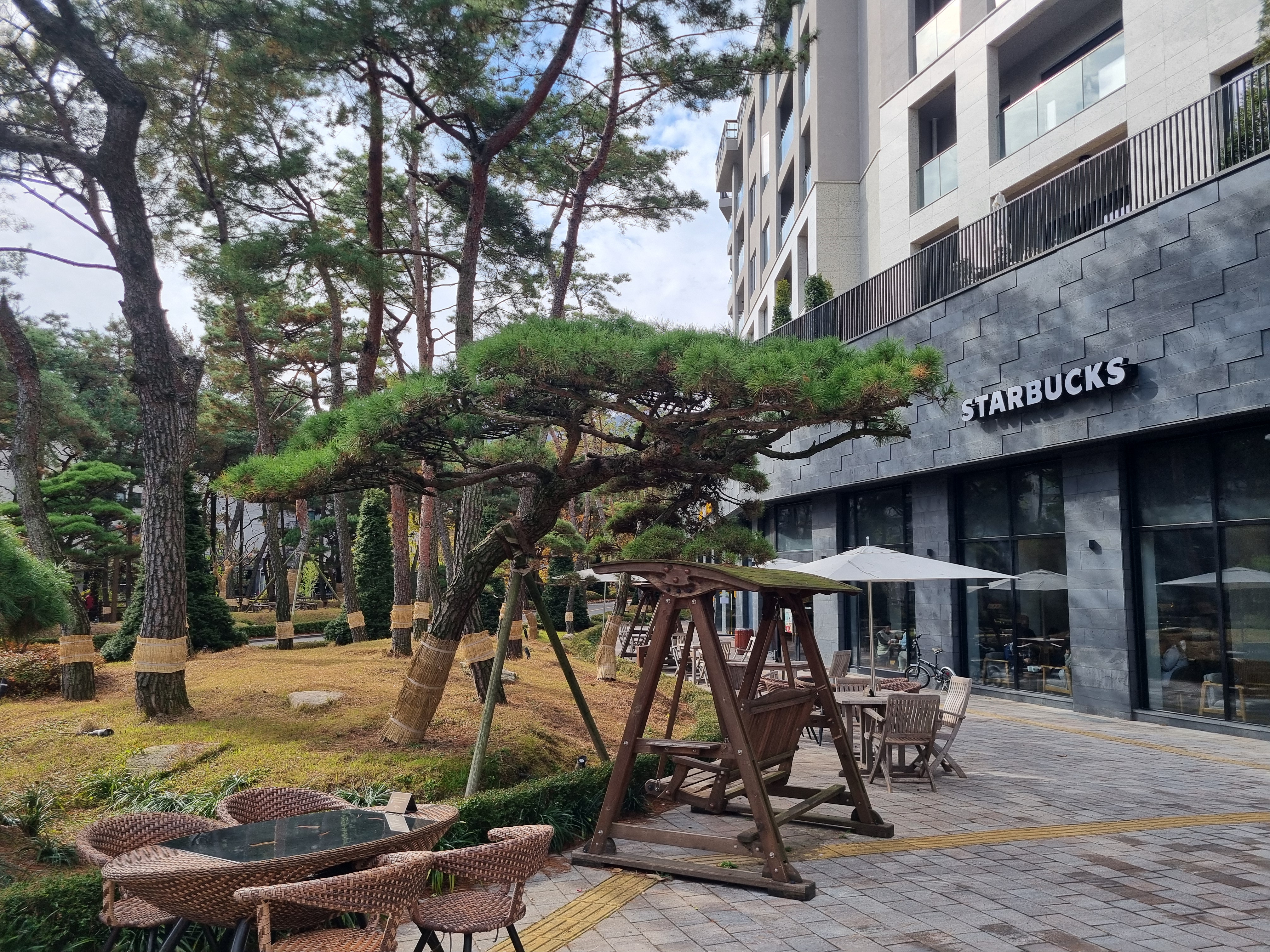 파라스파라 스타벅스 외관 사진