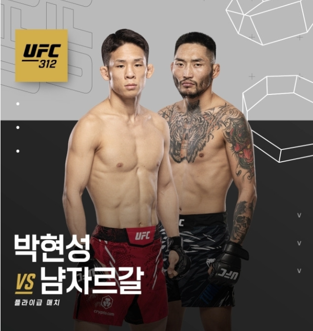 UFC 312