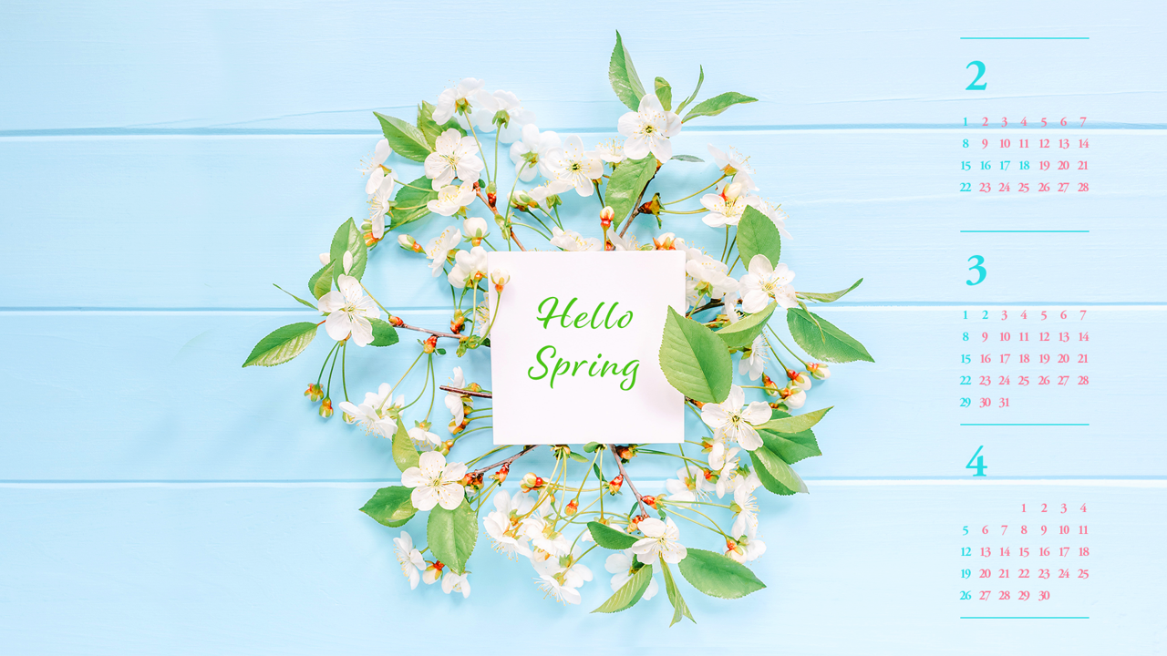 05 원형 벚꽃 장식 B - 2026년3월 달력배경화면