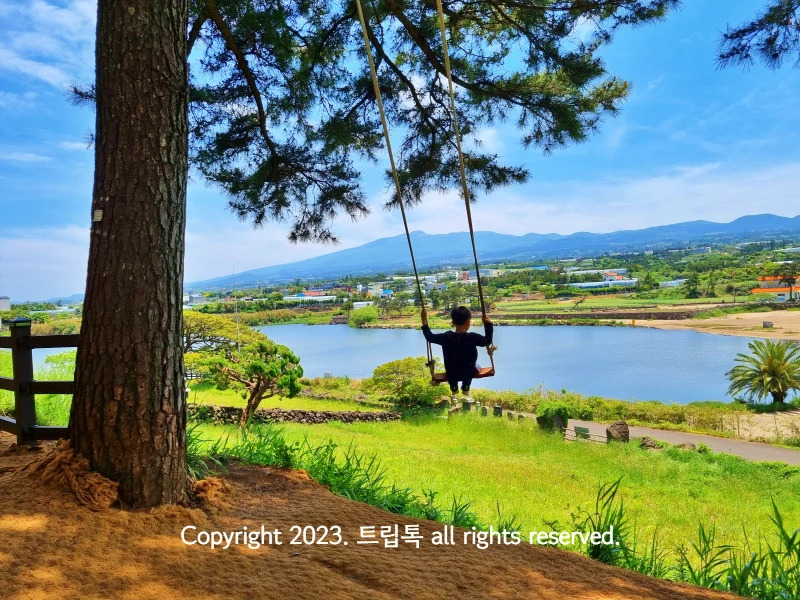 푸른 하늘에 한라산과 수산저수지가 보이고 왼쪽에 소나무 기둥이 있다. 소나무에 메달린 그네를 타는 아이의 뒷모습이 보인다.