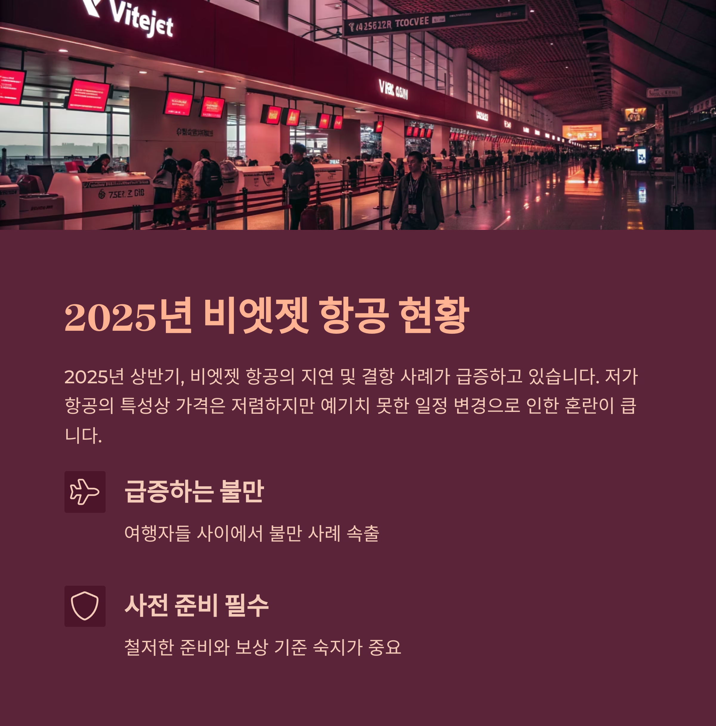 2025년 비엣젯 항공 현황