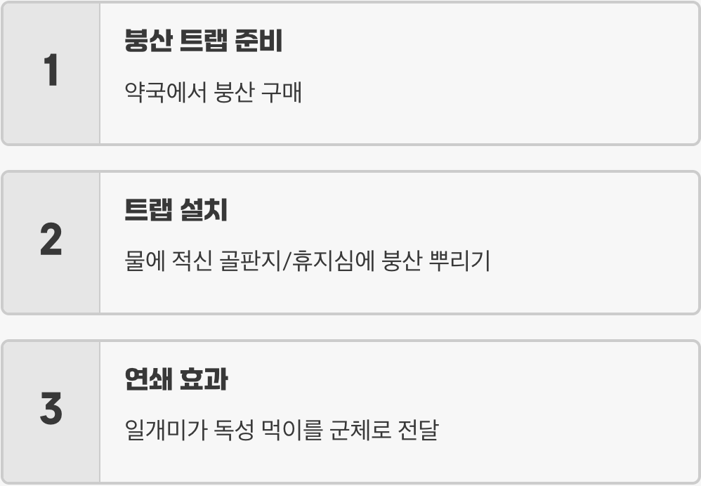 3단계: 유인해서 박멸&amp;#44; 붕산 트랩