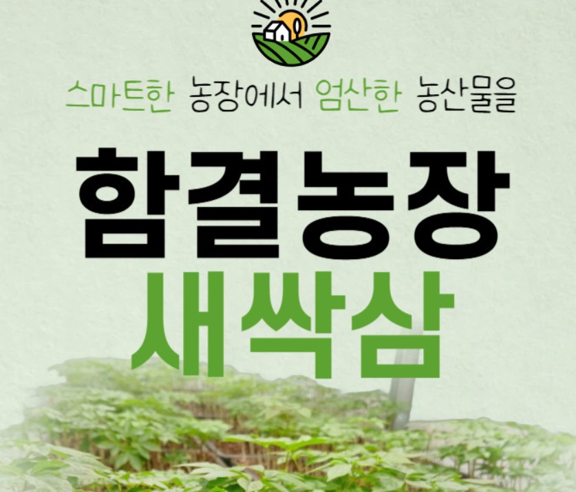 새싹삼-함결농장-함결새싹삼농장-강원도-스마트팜